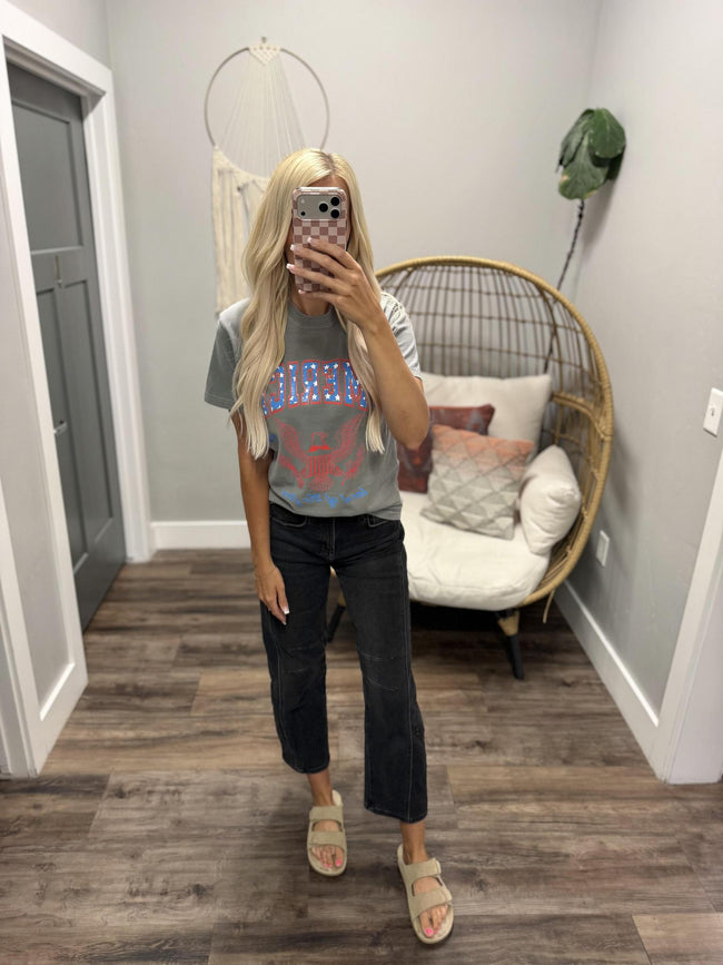 CHARCOAL AMERICA LAND OF THE FREE GRAPHIC TEE