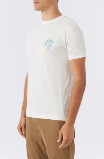 MENS O'NEILL OFF WHITE ROCKER TEE