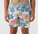 MENS ONEILL NATURAL HERMOSA BOARD SHORTS
