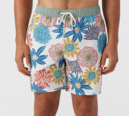 MENS ONEILL NATURAL HERMOSA BOARD SHORTS
