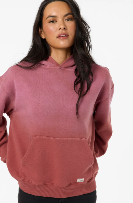 ONEILL SALTY VINTAGE HOODIE