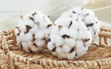 COTTON BALLS