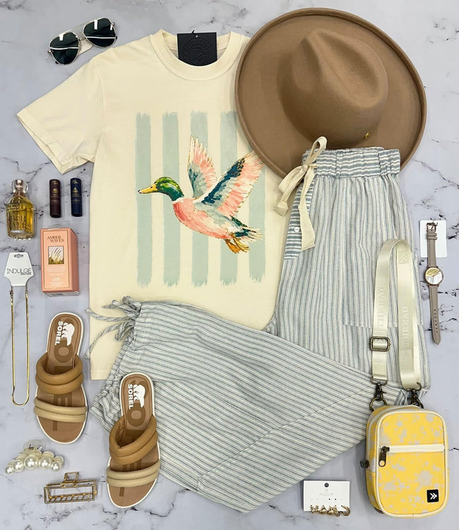 IVORY STRIPED PREPPY DUCK GRAPHIC TEE