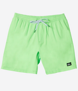 MENS QUIKSILVER GREEN GECKO EVERYDAY SOLID VOLLEY 15