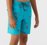 BOYS ONEILL HERMOSA SWIM SHORTS