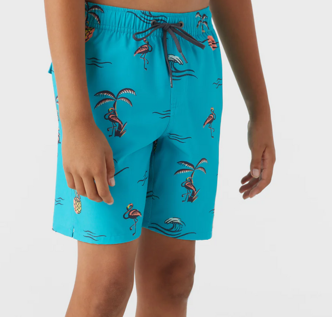 BOYS ONEILL HERMOSA SWIM SHORTS