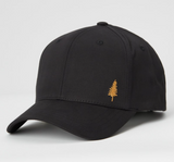 BLACK GOLDEN SPRUCE ELEVATION HAT