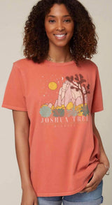 ONEILL JOSHUA TREE OVERSIZED TEE