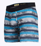 STANCE PERFORMANCE BOXER BRIEF WITH WHOLESTER TROOPER